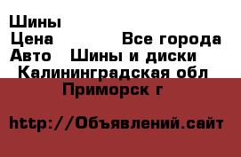 Шины bridgestone potenza s 2 › Цена ­ 3 000 - Все города Авто » Шины и диски   . Калининградская обл.,Приморск г.